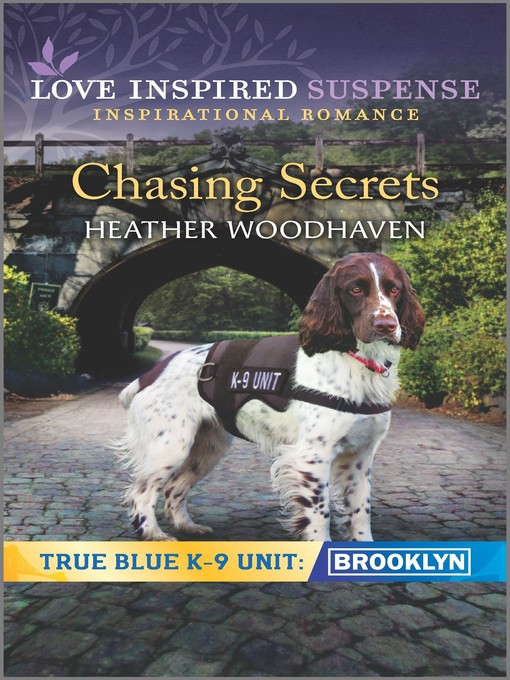 Title details for Chasing Secrets by Heather Woodhaven - Available